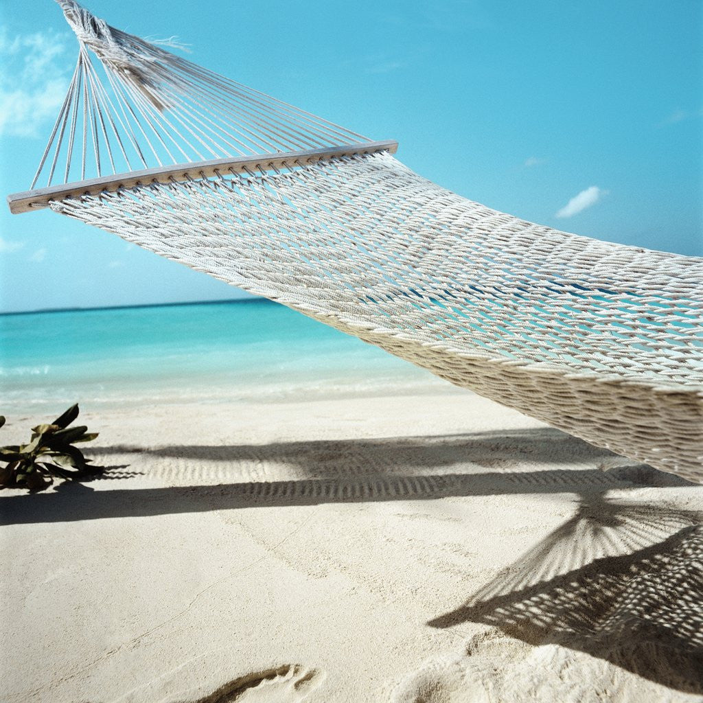 Detail of Hammock at the Beach by Anonymous