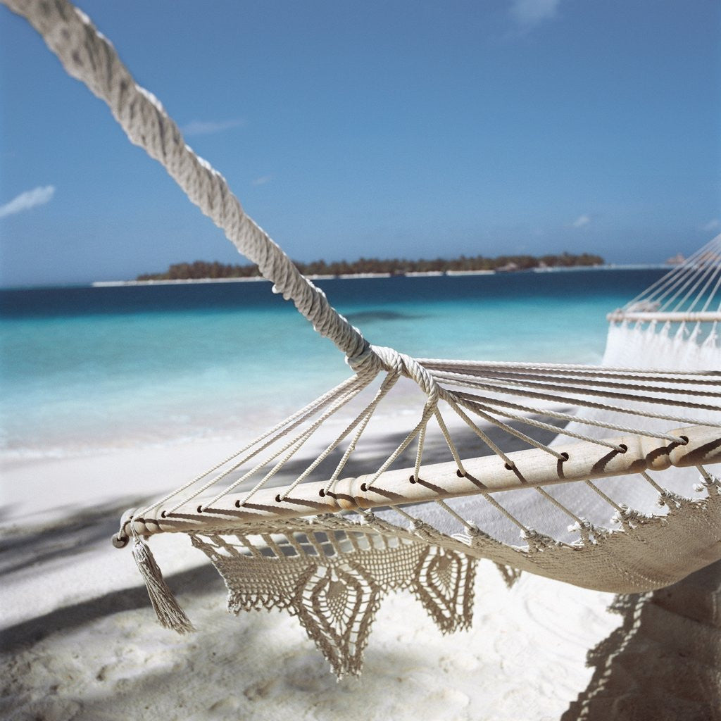 Detail of Hammock on a Beach by Anonymous
