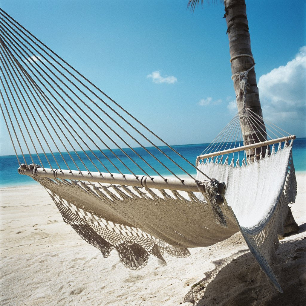 Detail of Hammock on a Beach by Anonymous