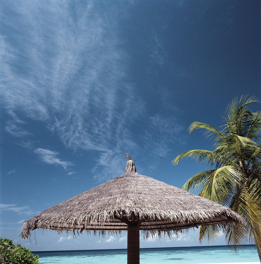 Detail of Cabana and Palm Trees by Anonymous