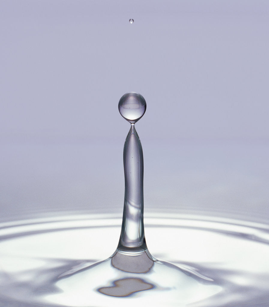 Detail of Droplet of Water and Ripple by Anonymous
