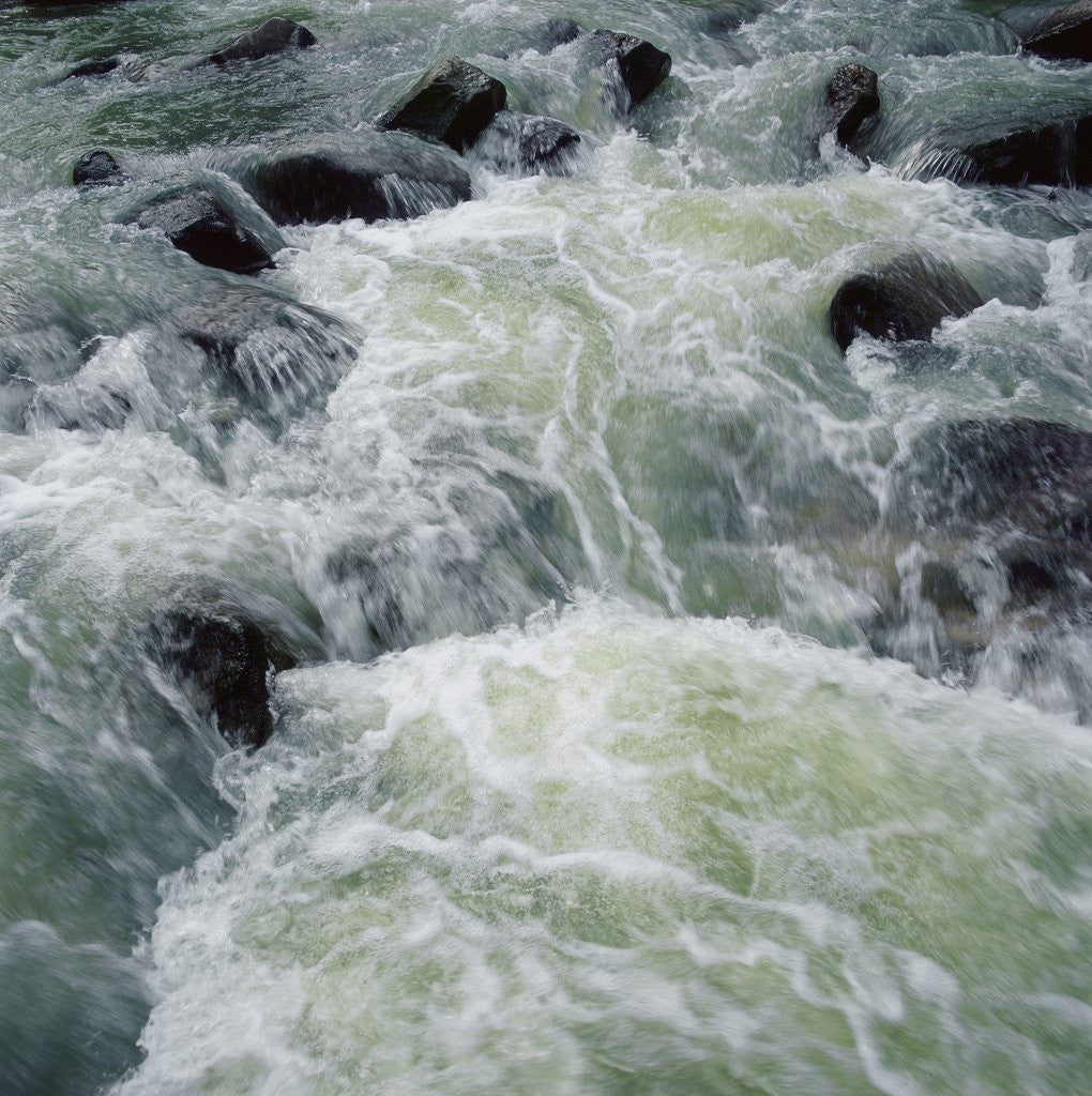 Detail of River Rapids by Anonymous