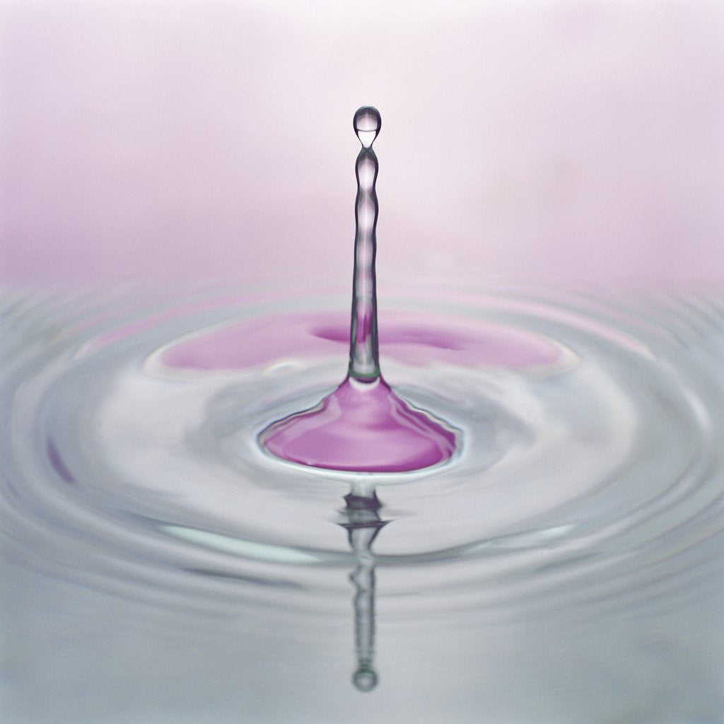 Detail of Water Droplet and Ripples by Anonymous