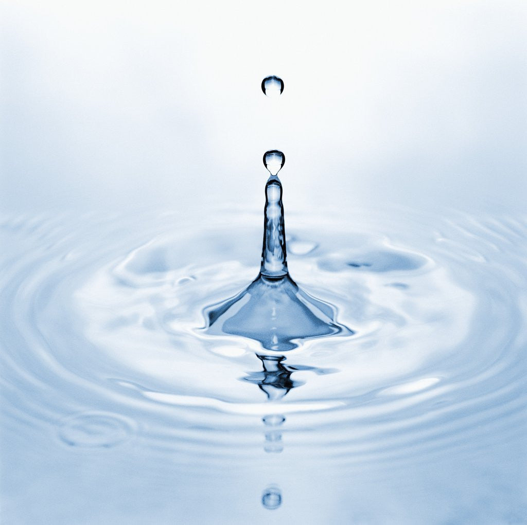 Detail of Water Droplet and Ripple by Anonymous