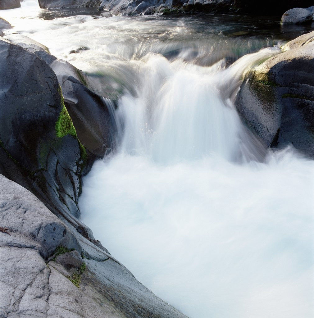 Detail of Rapids Churning River by Anonymous