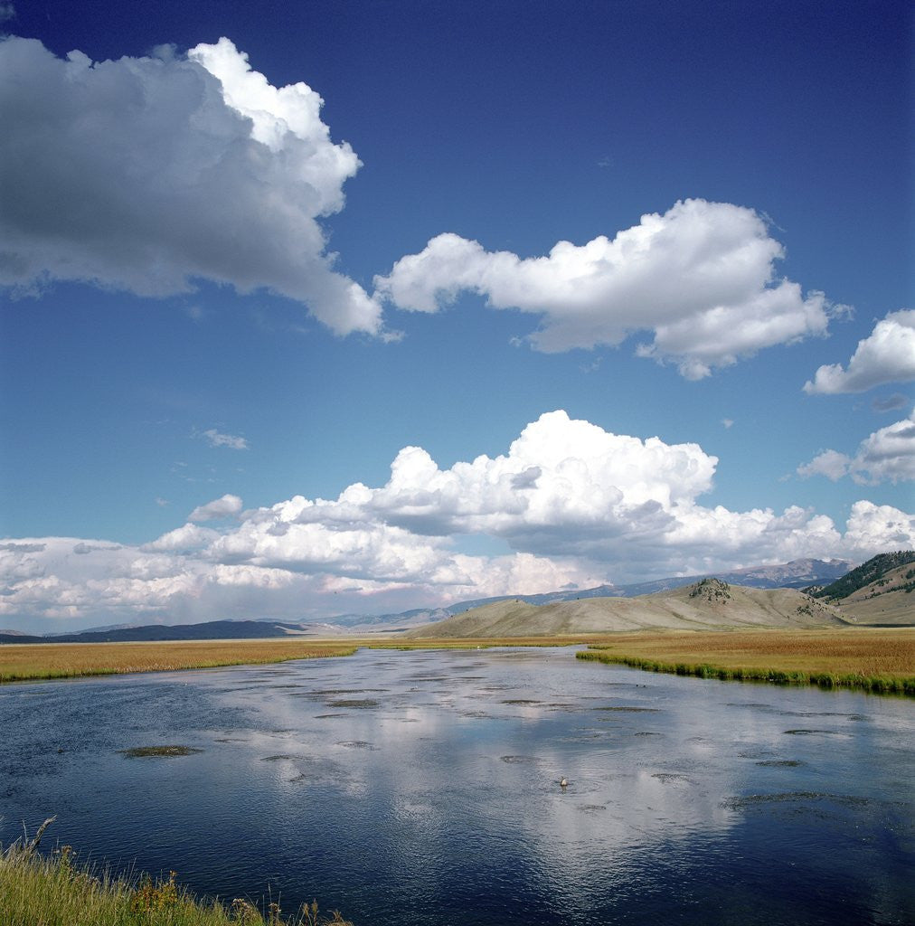 Detail of River Running Through Countryside by Anonymous