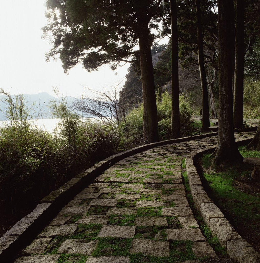 Detail of A stone footpath by Anonymous