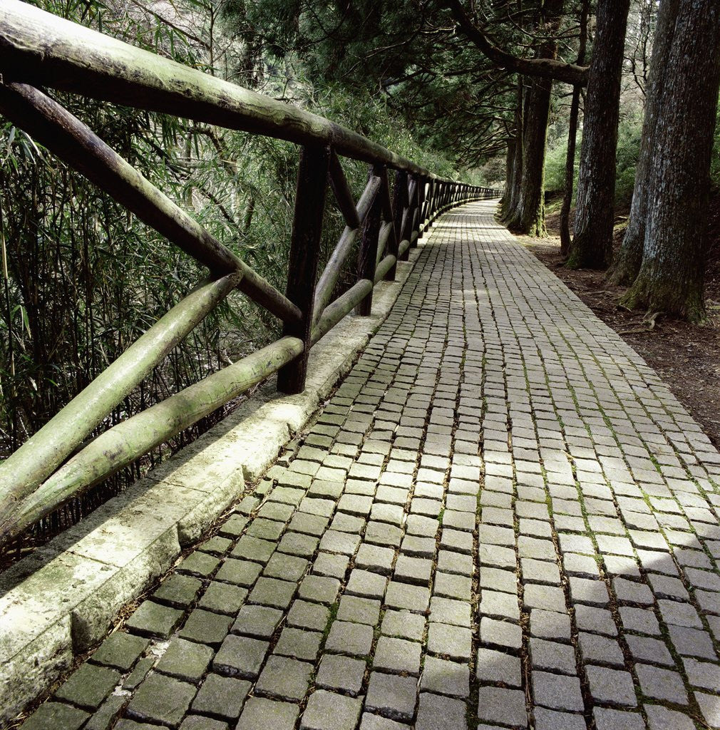 Detail of A footpath and barrier by Anonymous
