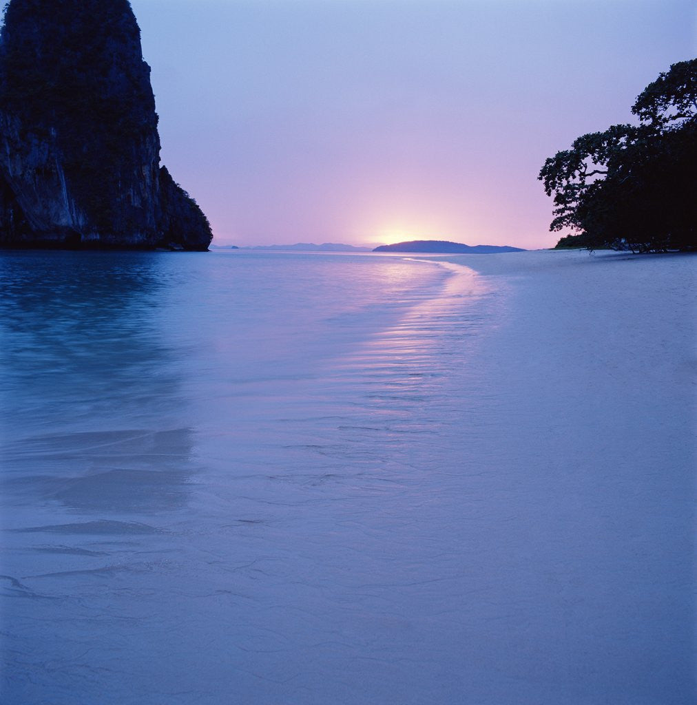 Detail of Tropical Beach by Anonymous