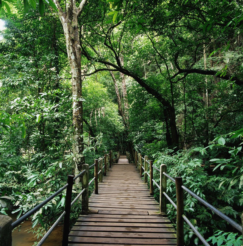 Detail of Wooden Bridge Thailand by Anonymous