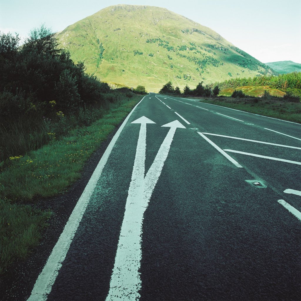 Detail of Two painted arrows on a road pointing towards a grassy mountain by Corbis