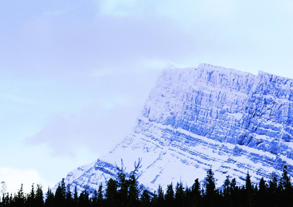 Detail of Snow-Covered Mountain Above Tree Line by Anonymous