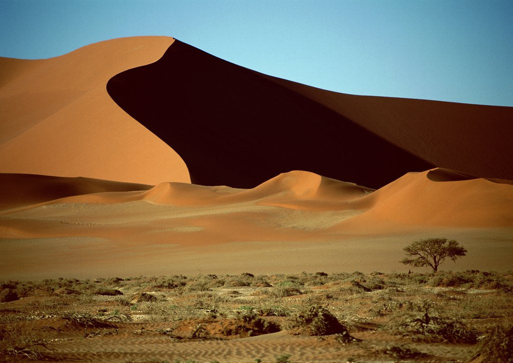 Detail of Sand Dune by Anonymous