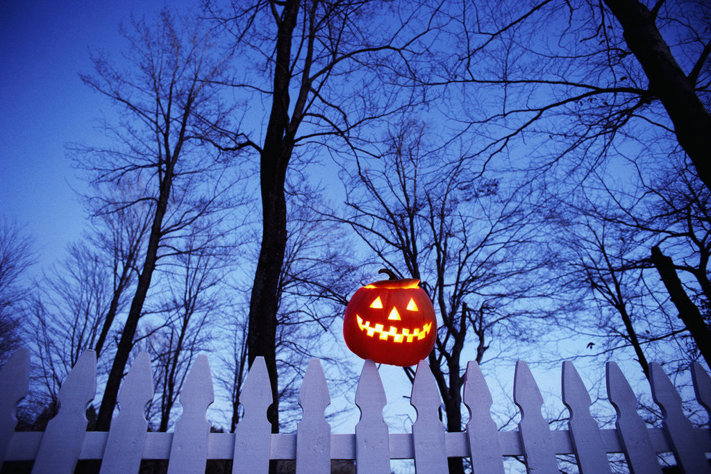 Detail of Lit Jack o'-Lantern Perched on Picket Fence by Corbis
