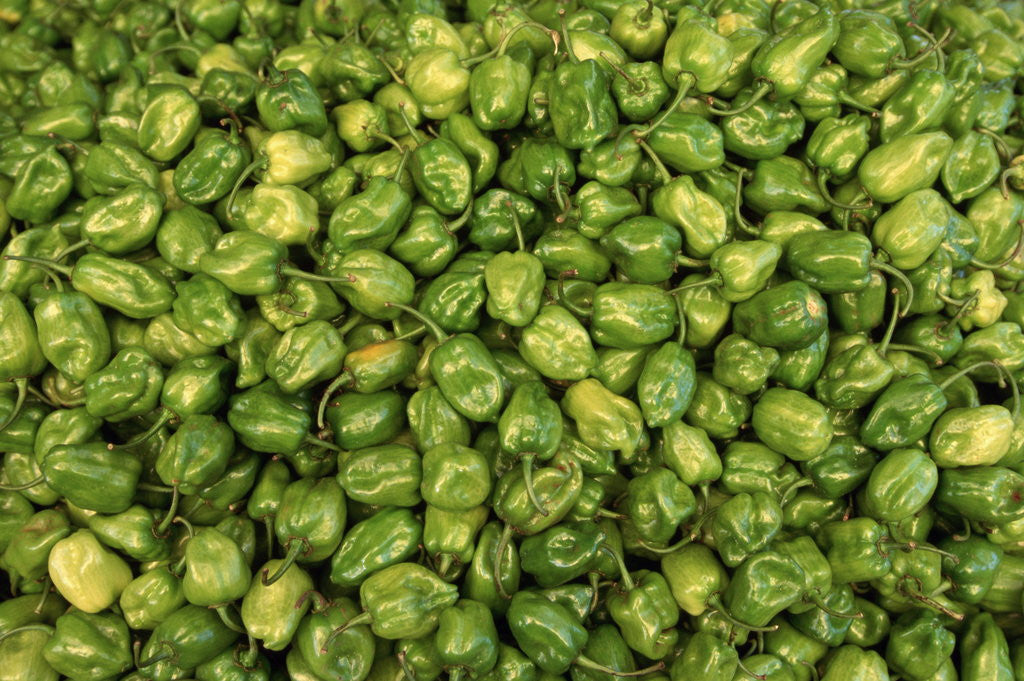 Detail of Habanero Chilies at the Central Market by Corbis