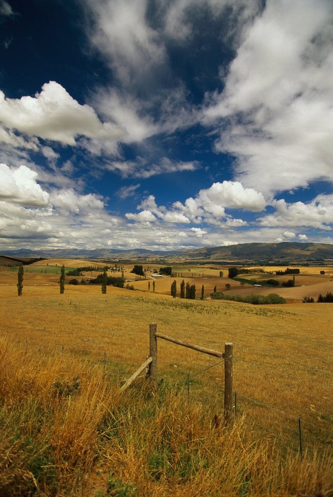Detail of The Canterbury Plain by Anonymous