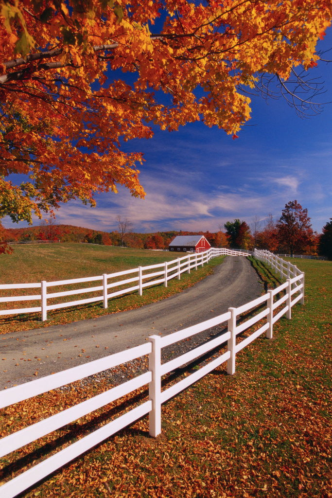 Detail of White Wooden Fence Along Farm by Anonymous