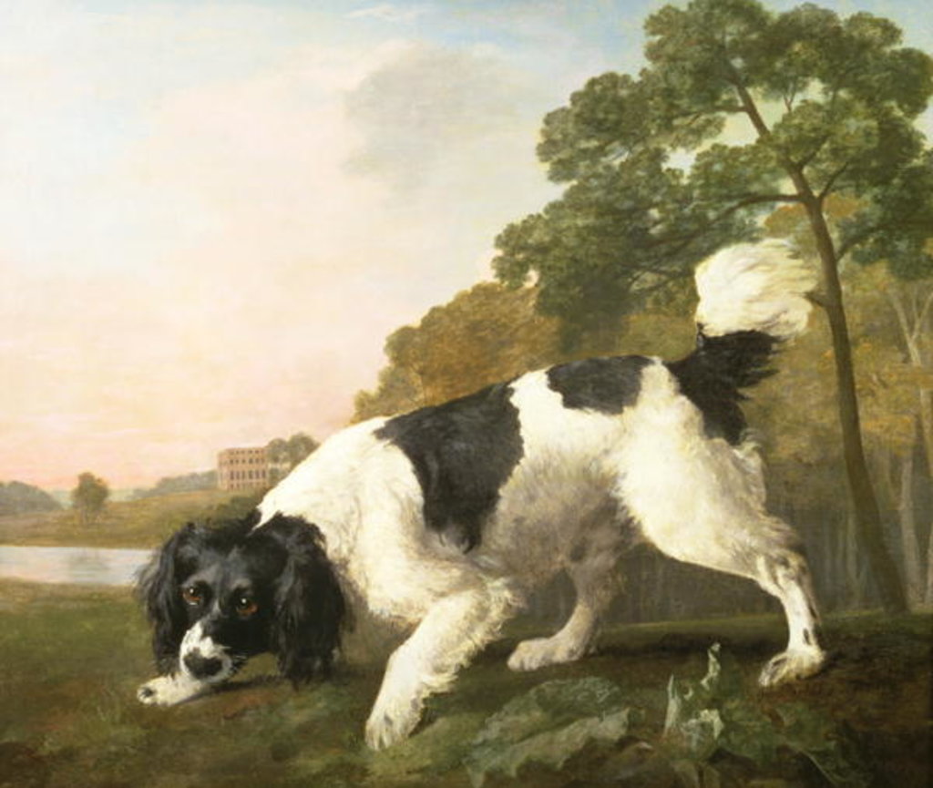 Detail of A Spaniel in a Landscape, 1771 by George Stubbs