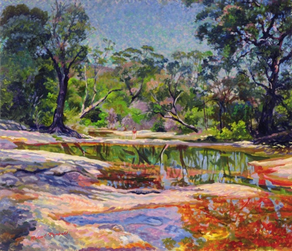 Detail of Wirreanda Creek, New South Wales, Australia by Robert Tyndall