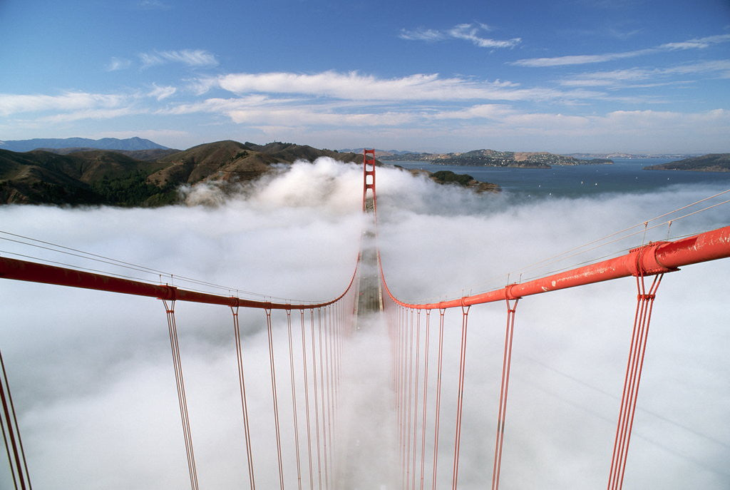 Detail of Road Deck of the Golden Gate Bridge by Anonymous