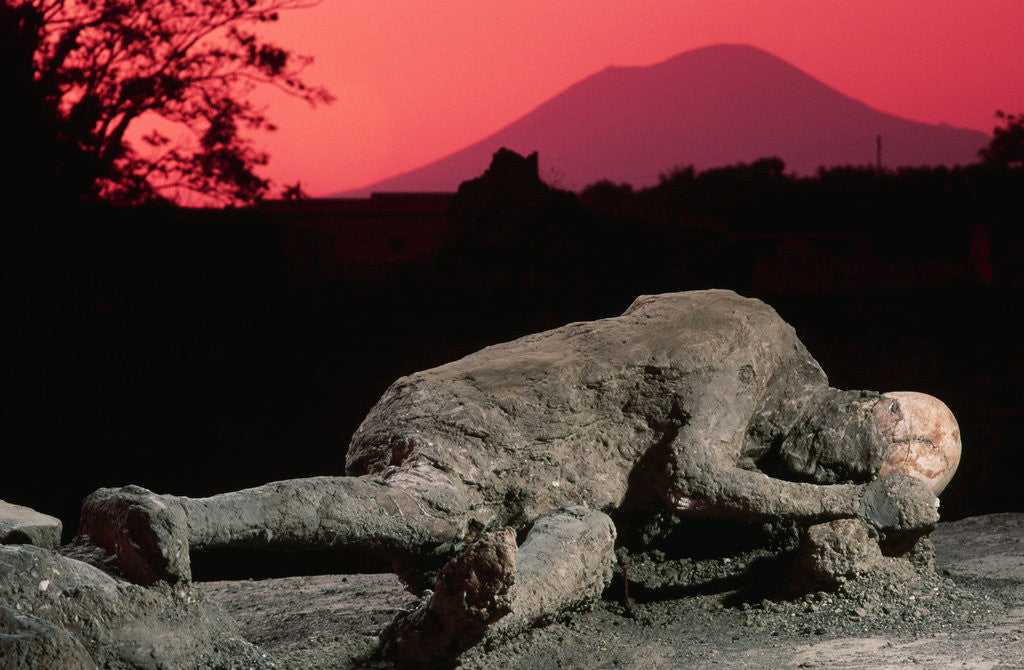 Detail of Cast of Pompeiian Victim of Mount Vesuvius by Anonymous