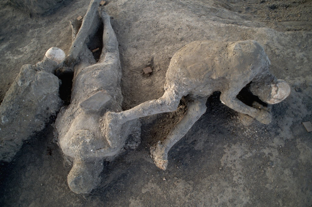 Detail of Bodies in Pompeii by Corbis