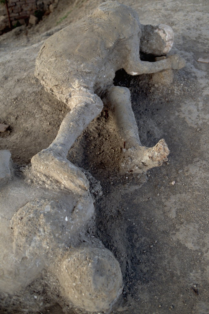 Detail of Bodies in Pompeii by Anonymous