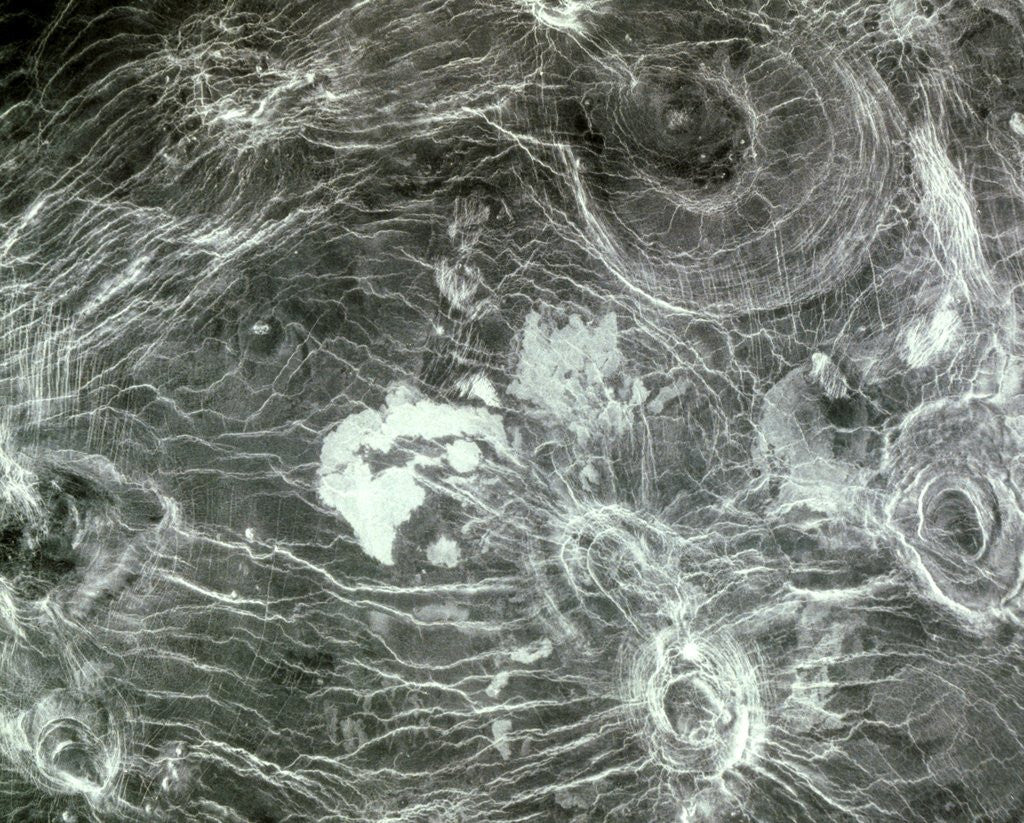 Detail of Arachnoid Volcanoes on Venus by Anonymous