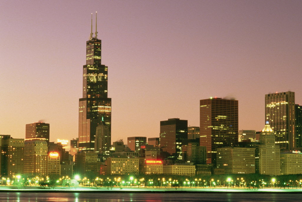 Detail of Sears Tower and Chicago Skyline by Anonymous