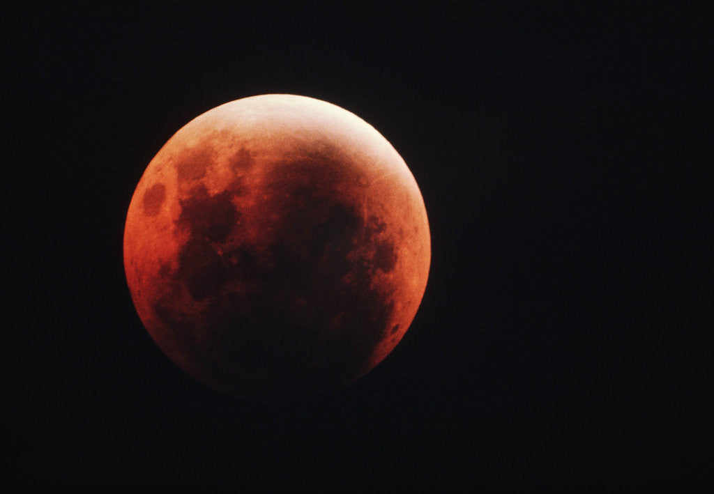 Detail of Lunar Eclipse by Anonymous