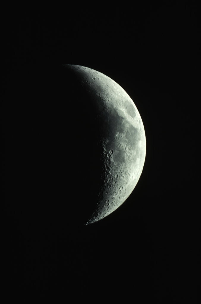 Detail of Crescent Moon by Anonymous