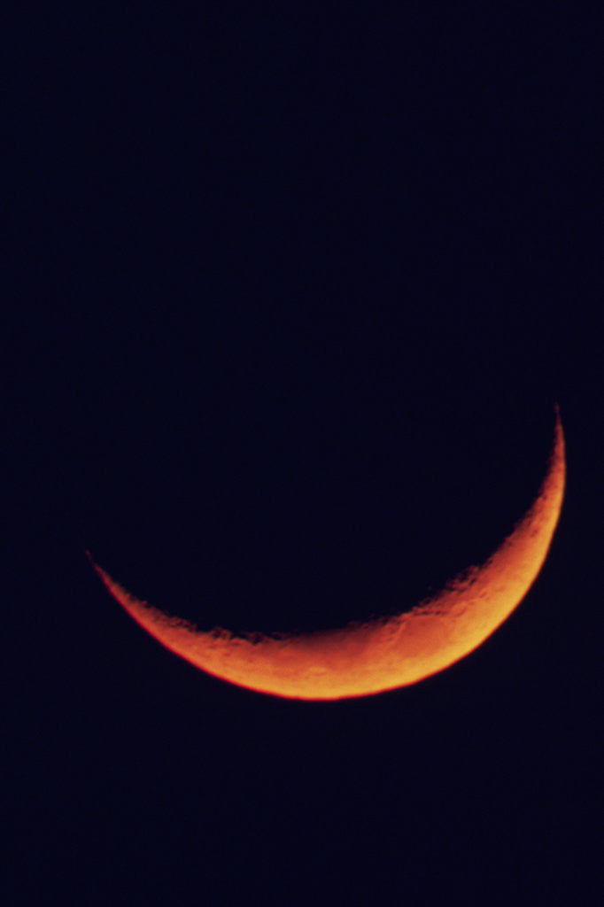Detail of Crescent Moon Setting by Anonymous