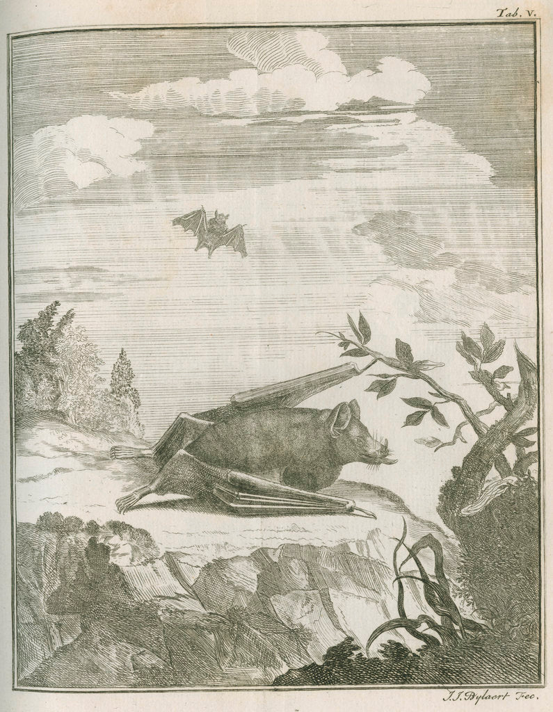 Detail of 'Vespertilio Soricinus' [Greater spear-nosed bat] by Johann Jacob Bylaert