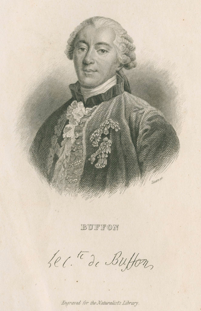 Detail of Portrait of George Louis Leclerc, Comte de Buffon (1707-1788) by William Home Lizars