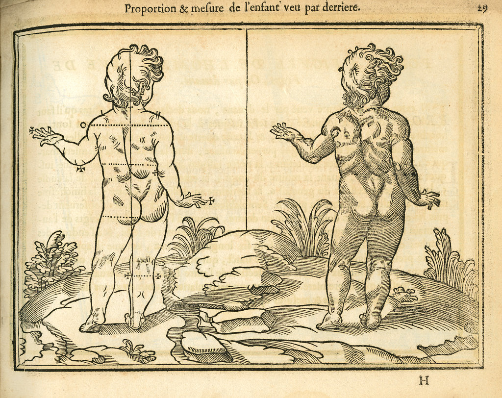 Detail of Proportions of a child (back view) by unknown