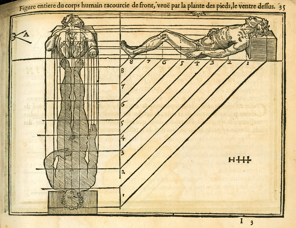 Detail of Views of the reclining male figure by unknown