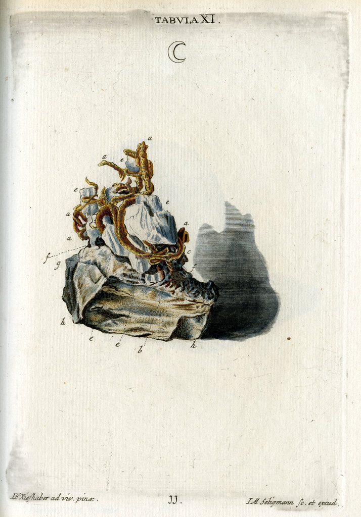 Detail of Silver by Johann Michael Seligmann