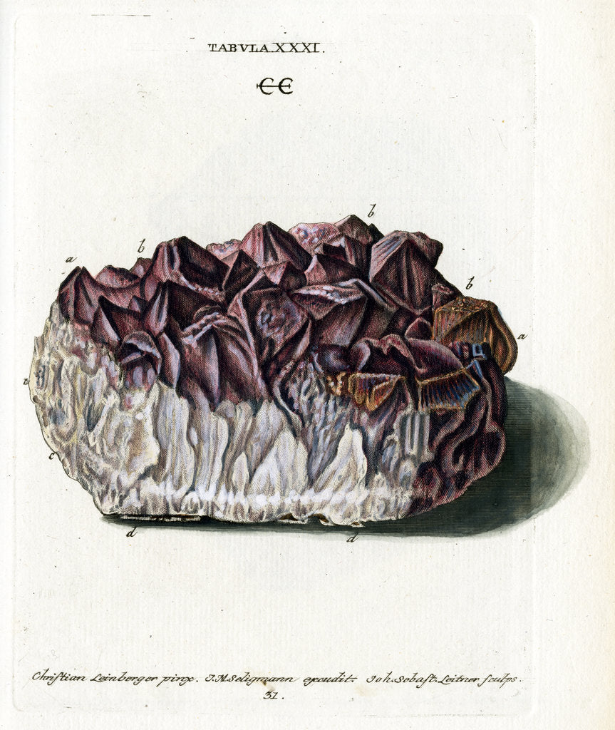 Detail of Quartz with Amethyst Crystals by Johann Sebastian Leitner