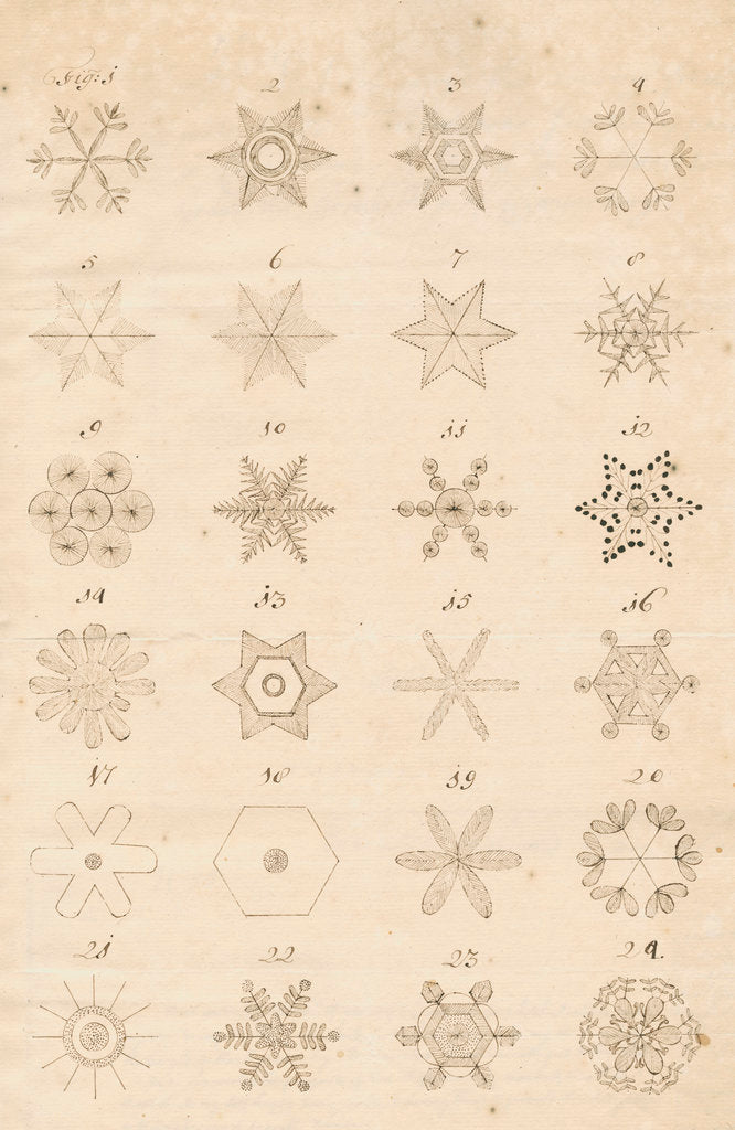 Detail of Snowflakes by Leonard Stocke