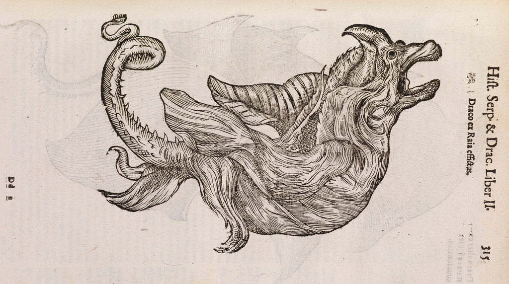 Detail of A 'dragon' made from fish parts by unknown