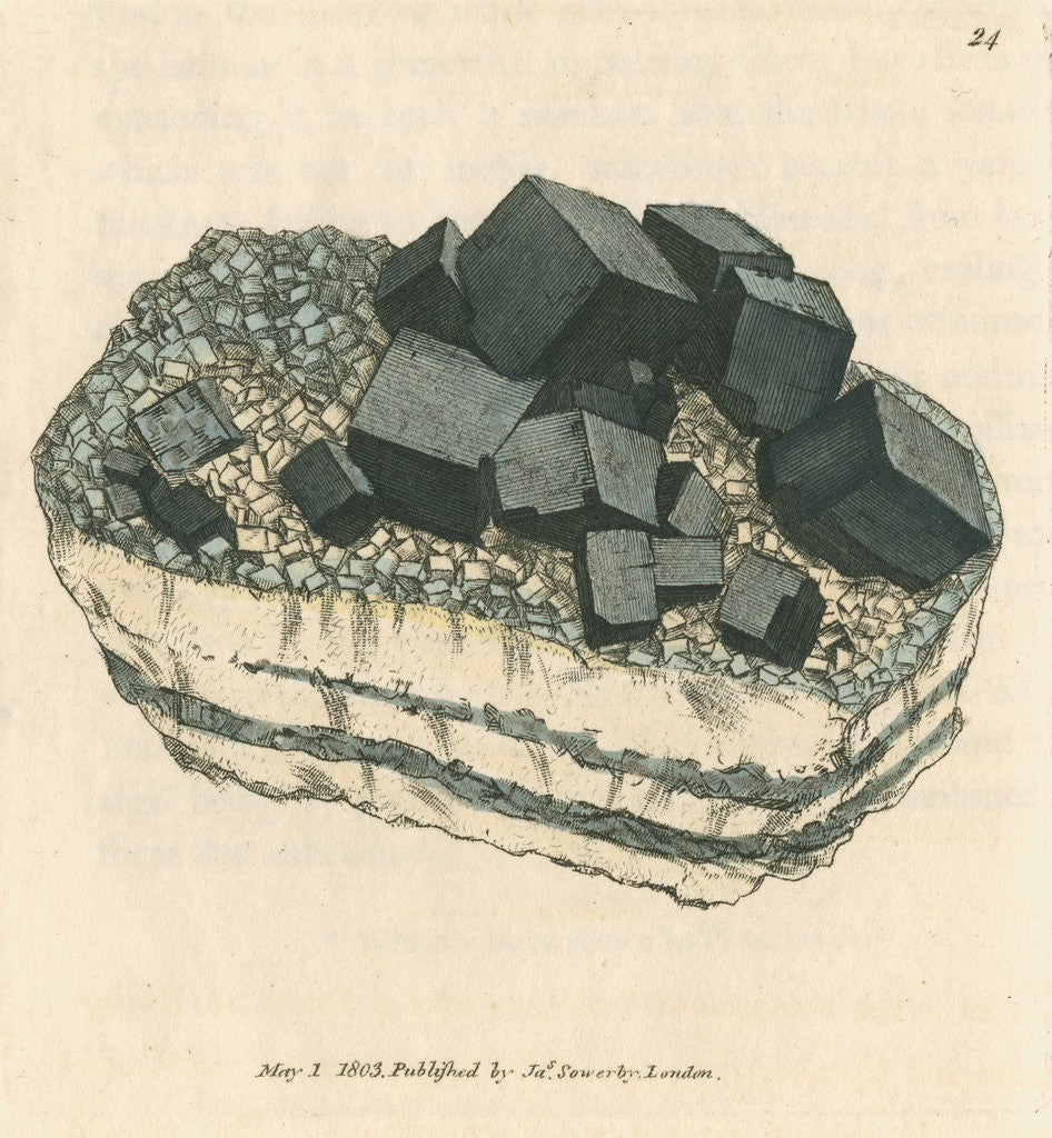 Detail of 'Plumbum galaena' by James Sowerby