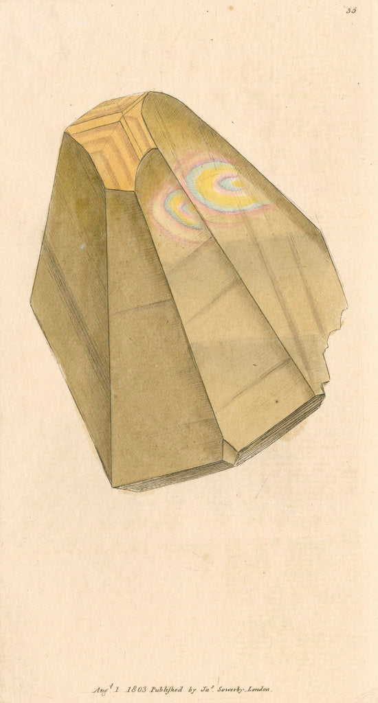 Detail of Calx carbonata by James Sowerby