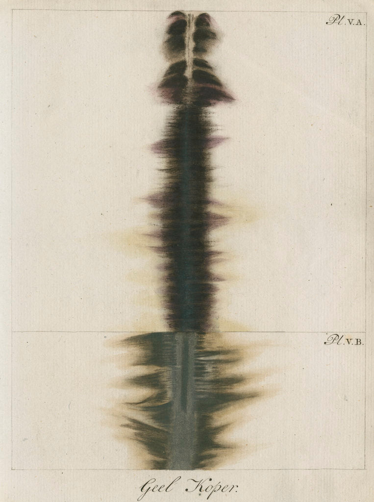 Detail of Brass wire explosion pattern by Anonymous