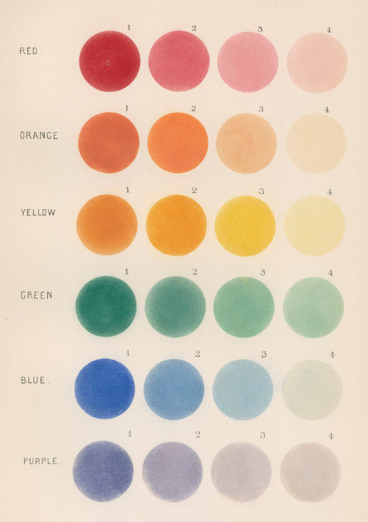 Detail of Colours of double stars by Anonymous