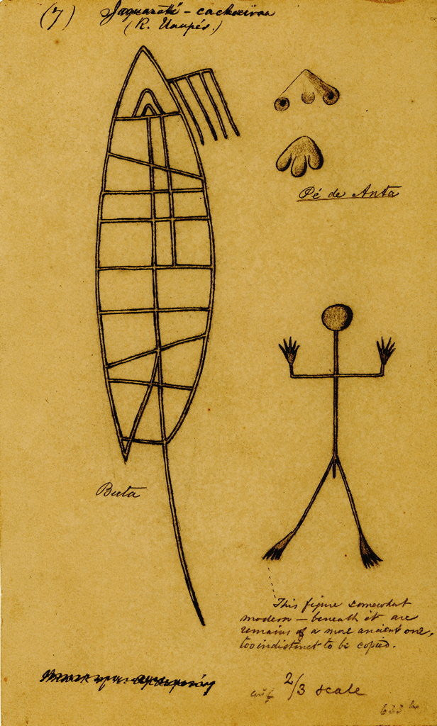 Detail of Picture-writing of a dolphin and the feet of tapir by Richard Spruce