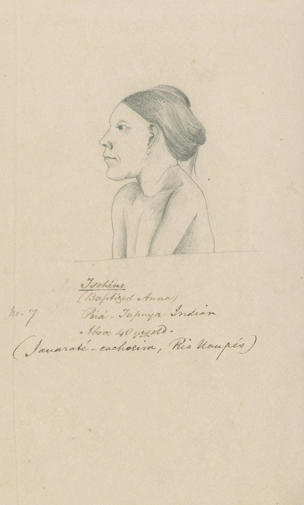 Detail of Portrait of Tschéno by Richard Spruce