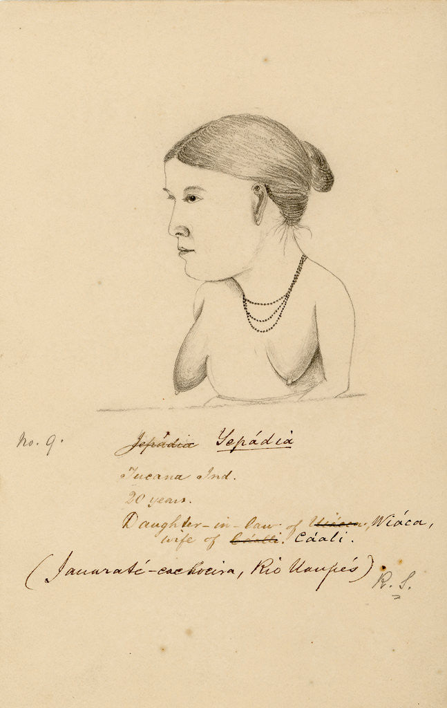 Detail of Portrait of Yepádia by Richard Spruce