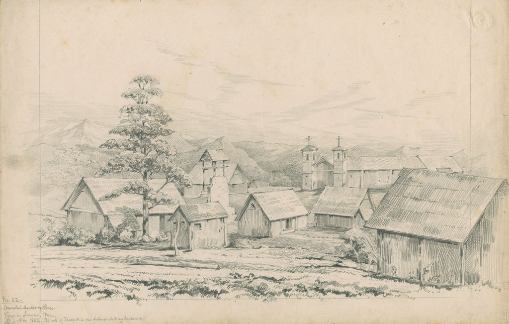 Detail of Lamas village by Richard Spruce