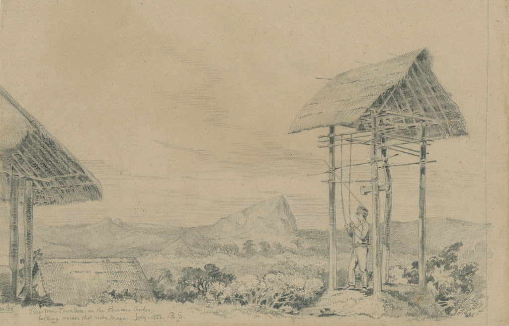 Detail of View from Tabalosos by Richard Spruce