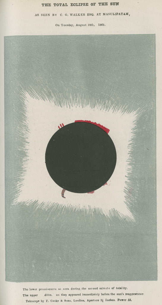 Detail of Total eclipse of the Sun by C G Walker